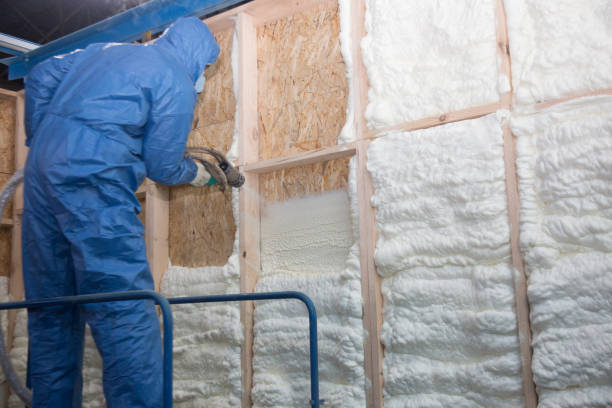 Eco-Friendly or Green Insulation Solutions in Arabi, LA